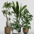 Flowerpots Collection 141 - uniquevry