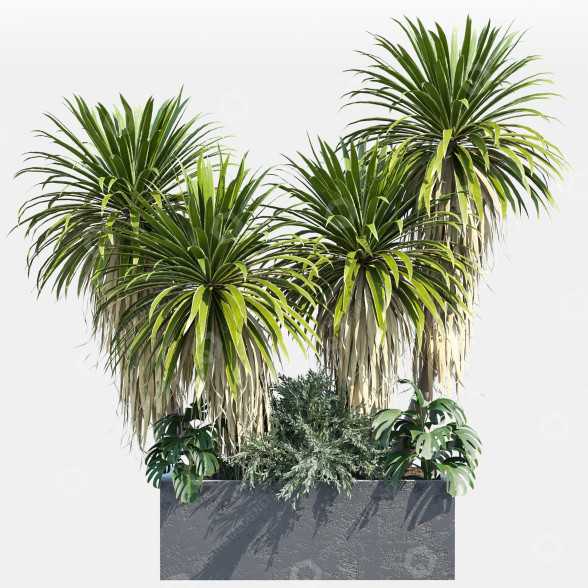 Flowerpot Outdoor Plant 60 3D model