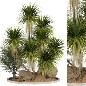 Drzewa  Outdoor Plant 59 Model 3D