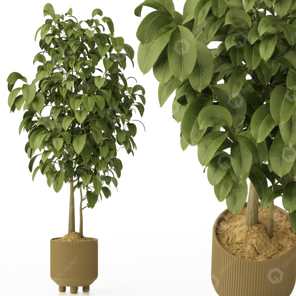 Maceta Planta 130 Modelo 3D