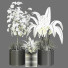 Doniczki Indoor Plant Vol 31 - uniquevry