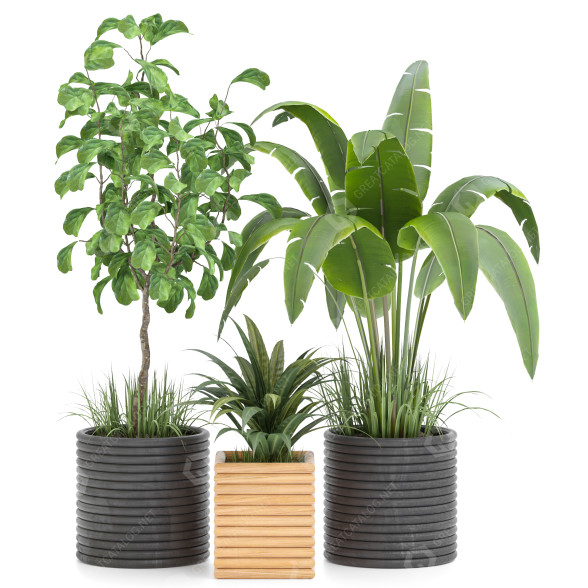 Doniczki Indoor Plant Vol 31 model 3D