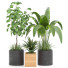 Doniczki Indoor Plant Vol 31 - uniquevry