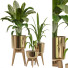 Flowerpots Collection 146 - uniquevry