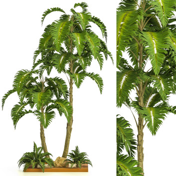 Drzewo i krzew  Garden Set Tropical Vol 32 Model 3D