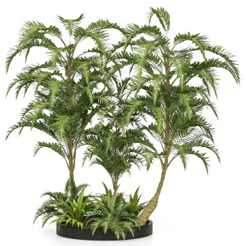 Bäume und Sträucher Gartenset Tropisch Band 31