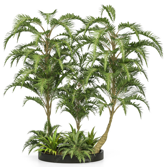 Arboles y arbustos Conjunto de Jardín Tropical Volumen 31 Modelo 3D