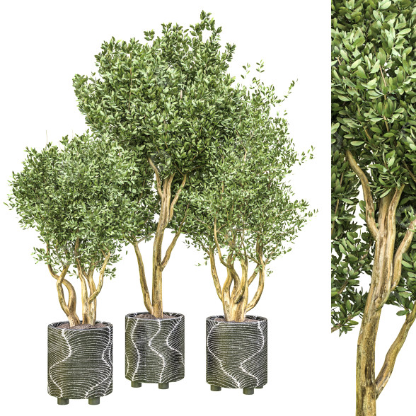 Pots de fleurs Plante d'intérieur Vol 16 modèle 3D