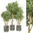 Pots de fleurs Plante d'intérieur Vol 16 - uniquevry