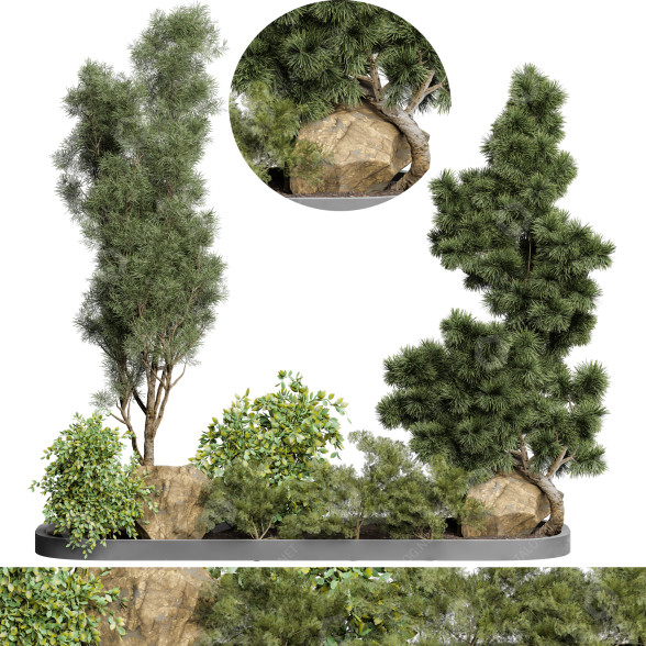Drzewa i krzewy Outdoor Plant 66 model 3D