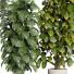 Pots de fleurs Collection 152 - uniquevry