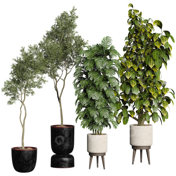 Pots de fleurs Collection 152 modèle 3D