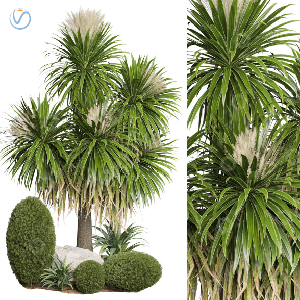 Arbres et buissons Plante en extérieur 64 modèle 3D