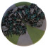 Пуф Herman Miller Girard Color Wheel - Paramatma