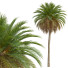 Bäume Set 5 - Pandora-land