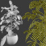 Blumentopf Gummipflanze Ficus elastica - mio