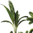 Pots de fleurs Collection de plantes ensemble 14 - mio