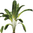 Pots de fleurs Collection de plantes ensemble 14 - mio