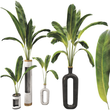 Doniczki Plant Collection Set 14