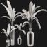 Pots de fleurs Collection de plantes ensemble 14 - mio