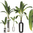 Pots de fleurs Collection de plantes ensemble 14 - mio