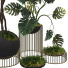Flowerpots Collection Set 06 - mio