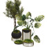 Flowerpots Collection Set 06 - mio
