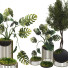 Flowerpots Collection Set 06 - mio