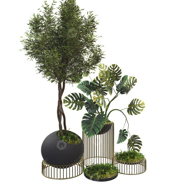 Flowerpots Collection Set 06 3D model