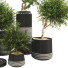Doniczki Plant Collection Set 10 - mio