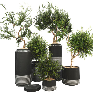 Doniczki Plant Collection Set 10