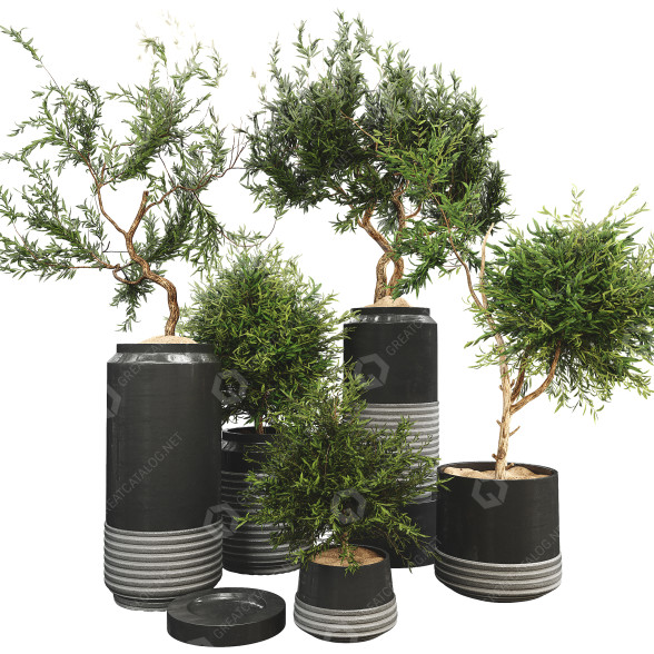 Doniczki Plant Collection Set 10 model 3D