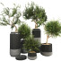 Doniczki Plant Collection Set 10 - mio