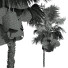 Palmen Neue pflanze hochdetailliert kleine palme - Pandora-land