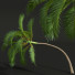 Palmen Neue pflanze hochdetailliert areca - Pandora-land