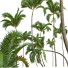 Palmen Neue pflanze hochdetailliert areca - Pandora-land