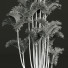 Palmy New Plant High Detail Cyrtostachys Renda - Pandora-land