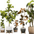 Doniczki Plant Collection Set 04 - mio
