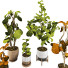 Doniczki Plant Collection Set 04 - mio