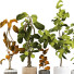 Doniczki Plant Collection Set 04 - mio