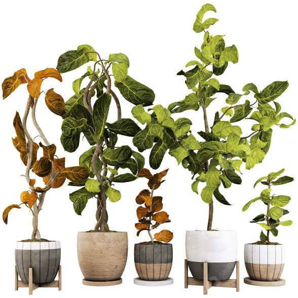 Doniczki Plant Collection Set 04 model 3D