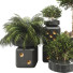 Pots de fleurs Collection de plantes ensemble 09 - mio