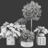 Pots de fleurs Collection de plantes ensemble 09 - mio