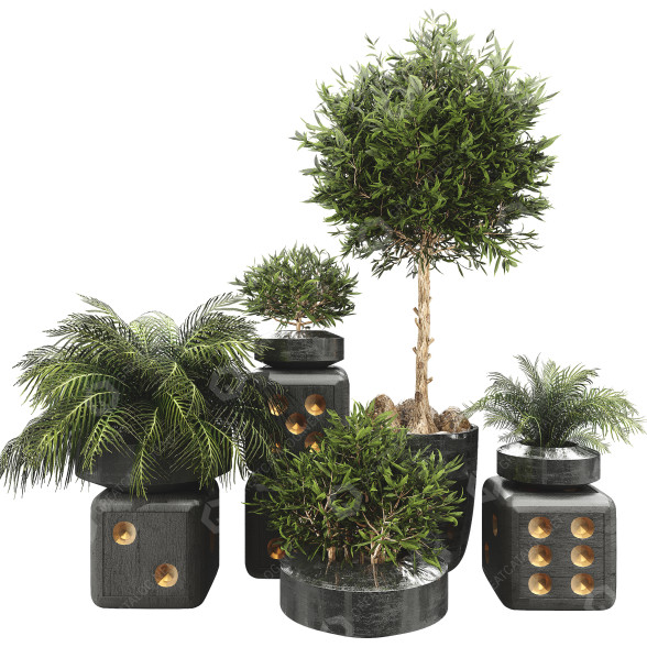 Pots de fleurs Collection de plantes ensemble 09 modèle 3D