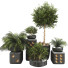 Pots de fleurs Collection de plantes ensemble 09 - mio