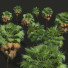 Palmy New Plant High Detail Acoelorrhaphe Wrightii Tall - Pandora-land