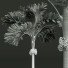 Palmy Areca Catechu Decorative Garden Fruit - Pandora-land
