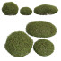 Krzewy Pyrrosia Lingua Hedge Sphere - Pandora-land