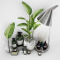 Decoración Bathroom Accessories 03 - uniquevry