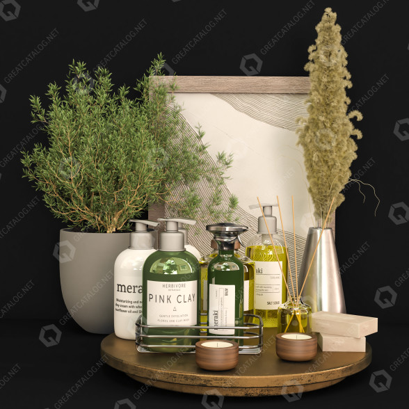Декор Bathroom Accessories Vol New 3D модель